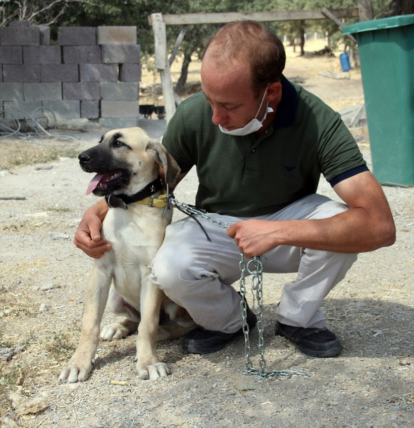 Uşak'ta yaşayan genç CİMER'den istedi! Devlet ayağına kadar getirdi - Resim: 4