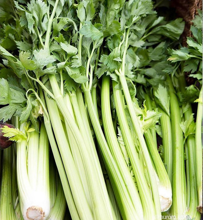 Kereviz suyu içtiğinizde vücudunuzda öyle bir şey oluyor ki... - Resim: 2