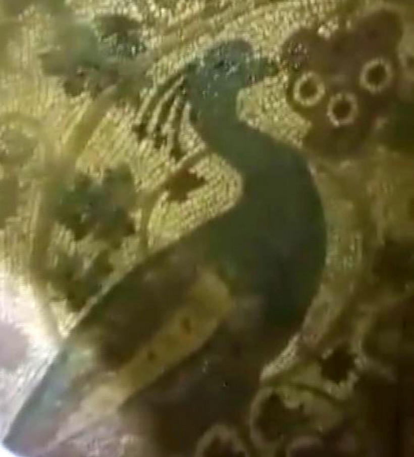 Jandarmadan milyonluk av! Yakalandılar - Resim: 1