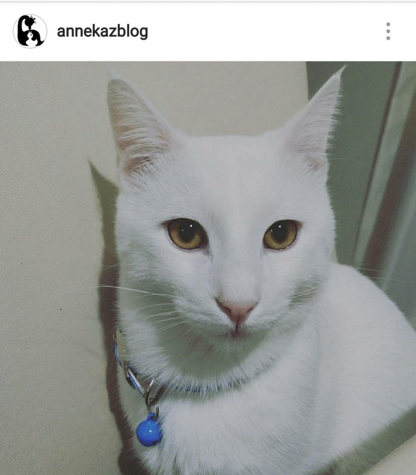 İnstagram'a bomba özellik geldi - Resim: 3