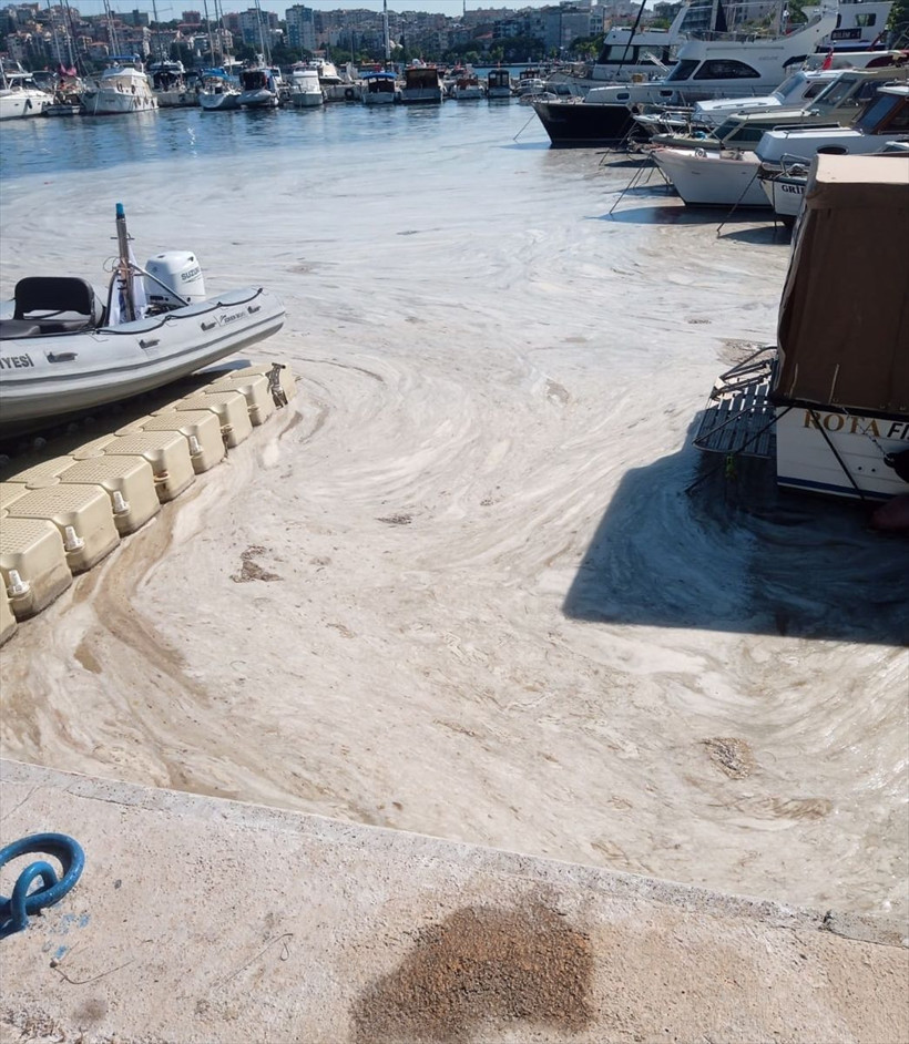 Marmara'da 2 günde 392 metreküp müsilaj toplandı - Resim: 1