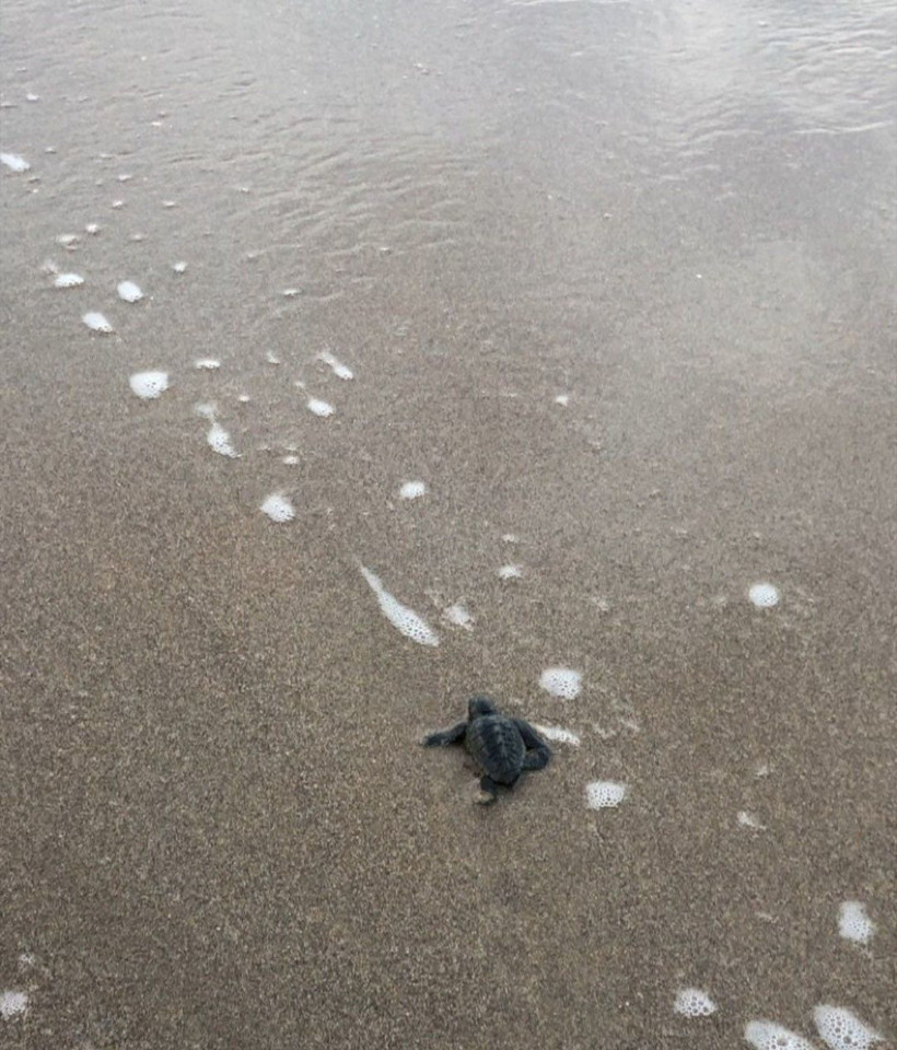 Kıvanç Tatlıtuğ örnek gösterilmişti meğer carettalara yanlış yapmış - Resim: 4