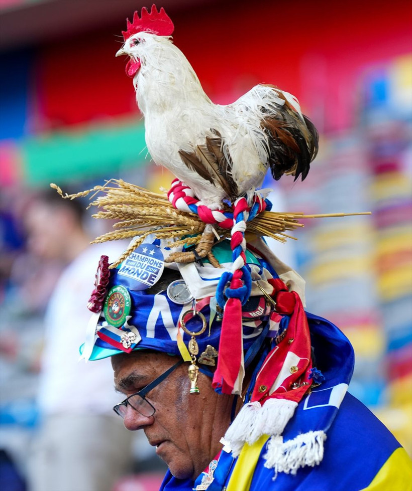 Euro 2024'te sadece bozkurt yoktu hangi ülke hangi hayanları sembol kullandı? - Resim: 3