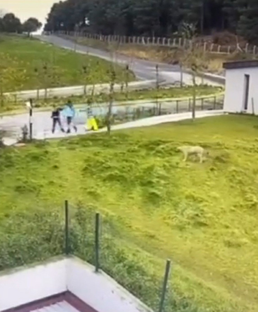 İBB Arıtma Tesisi 'ters baktın' cinayetinde yeni detaylar ortaya çıktı meğer birkaç ay önce... - Resim: 2